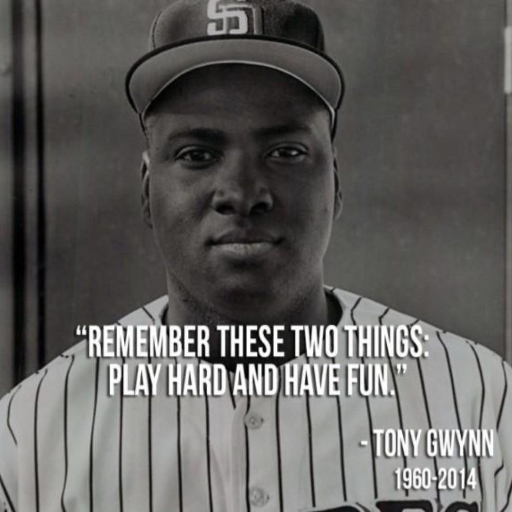 Limited Release Old School Homage Tony Gwynn Play Hard Have Fun tee - Picture 5 of 5
